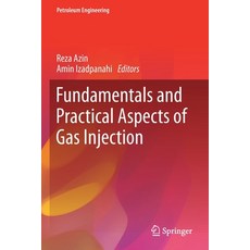 (영문도서) Fundamentals and Practical Aspects of Gas Injection Paperback, Springer, English, 9783030772024
