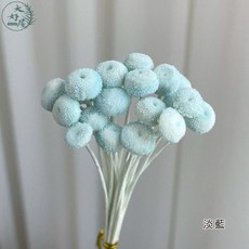 大好屋 永生鈕扣菊 不凋花 永生花配件 拍攝背景 婚禮小物 居家裝飾, 永生鈕扣菊【淡藍】約20支裝