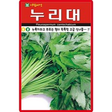 아람종묘 누리대 씨앗 20립 토종 누리대씨 산나물 종자, 5개