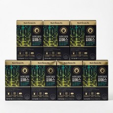 뉴트리원 브레인알파 피에스 800mg 30캡슐 7박스, 7개, 15회분