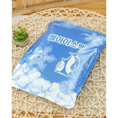 아이스팩2p(대) 보냉젤, 2개