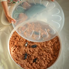 빌랑 팔레트 놀이트레이 대형 뚜껑포함 - 유아 원형 물감 미술 촉감 모래 놀이 스몰월드, 팔레트 화이트 트레이 (뚜껑포함), 1개