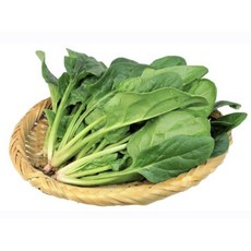 [팜팜]국내산 아삭촉촉 시금치, 1박스, 1kg
