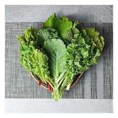 [푸드맛봄] 경기 광주 산지발송 유기농 모듬쌈채소 1kg/유기농인증, 1개