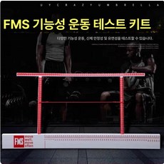 FMS 테스트 키트 기능정 도구 민첩성 운동능력, F. 고급 FMS, 1개