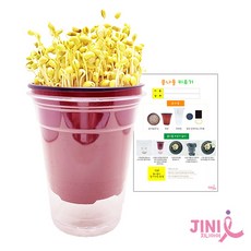 지니아이 콩나물 키우기 세트 관찰일지 재배기 식물키트 관찰학습, 1인용, 1개