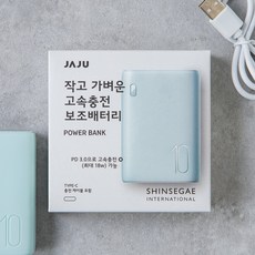 JAJU 브랜드관 작고 가벼운 고속충전 보조배터리(10 000mAh)_민트 511591