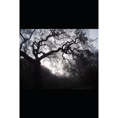 (英文圖書)Bigfoot Sasquatch Files Volume 16 平裝版, Independently Published, English