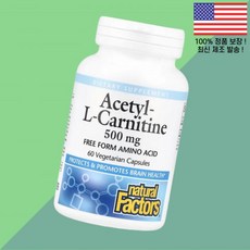 내추럴 팩터스 아세틸 카르니틴 L카르니틴 엘카르니틴 카르티닌 아미노산 500mg 식물성 베지캡슐 60정 Natural Factors Acetyl L Carnitine 60 Ve, 내추럴 팩터스 아세틸 카르니틴 L카르니틴 엘카르니틴 카