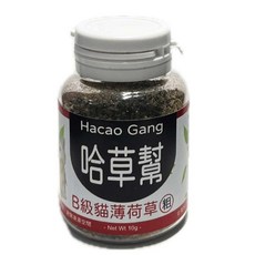 哈草幫 貓薄荷草 A級花 苞 10G, 3個, 貓薄荷