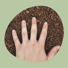 더블희 애니멀밥 생물 바닥재매트 개구리집