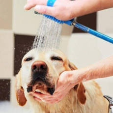 목욕스프레이건 강아지 필터 강아지 목욕 물호스_WFJGOP2, 본상품