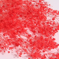 화연양화 표백 안개꽃 10색 한다발 프리저브드플라워, 04 레드