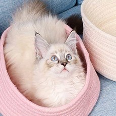 옥이드림 고양이 바구니 숨숨 집 고양이숨숨집 캣바구니 고양이숨숨이집, 01바구니-아이보리, 1개