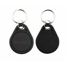 NFC 125KHz RFID 태그 근접 토큰 키포브 카드 키 액세스 제어 읽기 전용 TK4100 개/로트, 1. 녹색, 1개