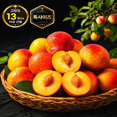 [특사이즈] 초고당도 대석자두 의성 후무사자두 1kg 2kg 왕자두 햇자두, 1개, 특과 1kg (20과 내외)