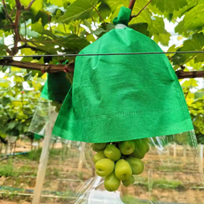 루비로망 샤인머스켓 미세 구멍 포도봉지 투명 타공비닐 과수봉투, 100개, 부직포+미세구멍비닐봉지