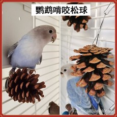 悅昇 松果 鸚鵡磨牙 居家佈置 帶掛鈎, 鸚鵡啃咬鬆球, 1個