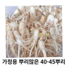 인삼 수삼 세척인삼 작은인삼뿌리 40-50뿌리, 700g 30-40뿌리세척 (0) +못난이대추(30g), 700g