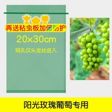 과일 야채 보호망 새 곤충 방지 반복사용 봉투 망 딸기 포도 사과 복숭아 형태보존 보호, L  20x30cm / 50개  그린