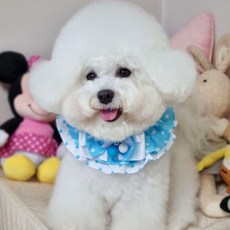 POP PUPPY 漿果流行披風, 藍色 L