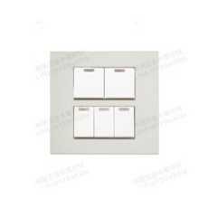 Suzone樹榮 雅典系列 附蓋板 雙聯開關 螢光開關, 1個, 五開,GR灰