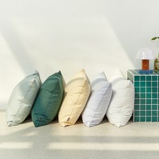 [파르페by알레르망] 트루 60수 고밀도 바이오워싱 베개커버 50x70, 색상:베이지