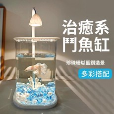 鬥魚缸 透明小魚缸 冰晶石 桌麵創意生態鬥魚缸 珍珠碎鑽景觀缸 裝飾造景全套 孔雀魚 微景觀 生態缸 爬蟲 角蛙缸, 1個, 天然海螺造景包,亞克力魚缸(非玻璃材質)