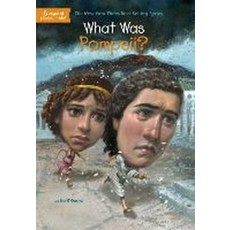 What Was Pompeii?, .