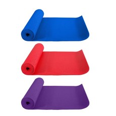 PVC 요가매트 홈트레이닝, 보라