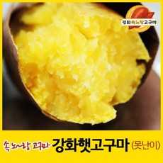 [농장직판] 강화속노랑고구마 강화도호박고구마 [못난이 고구마] 10kg, 1박스