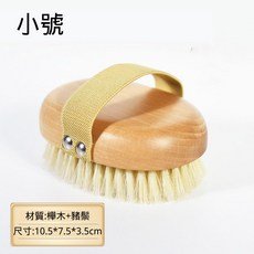 櫸木豬鬃身體乾濕兩用刷 小號 舒適握感 深層清潔, 1個