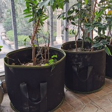 부직포 화분 베란다 모종 대형 2p세트 텃밭 감자 61833PC 1(pc), 색상