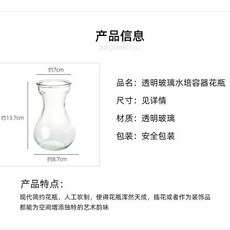 透明玻璃花瓶 適用於風信子、綠蘿、水仙花，可作為水培容器或裝飾品, 水培風信子【通用型】花瓶,高13.5厘米玻璃款12個/花無鵲