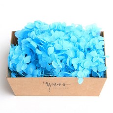 화연양화 프리저브드플라워 블루밍 케이스 수국 30색, 18 민트