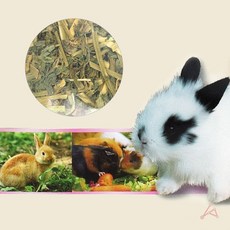토끼집 토끼사료 애완 토끼 건초 간식 500g, 없음