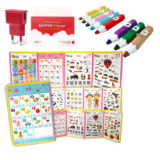 레인온펜 세이펜 32기가+충전기+낱말카드 외 학습벽보 병풍책 아기 그림책 유아 동화책 자동차책 공룡책 여아 남아 디즈니 공주 생활 창작 인성 성교육 전래 명작 동화 추피 돌선물, 핑크, 1. 똑똑 낱말카드 204종