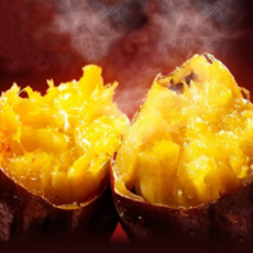 [해남산지직송] 재구매폭발 햇꿀당도 해남 꿀고구마, 1개, [한입]2kg