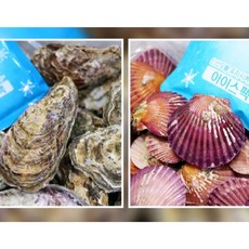 통영 성우수산 산지직송 깨끗한 프리미엄 세척 석화 홍가리비, 1박스, 10kg