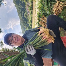 생강 햇생강 흙생강 특품 25년 국산, 1개, 흙생강(비세척/특품) 1kg