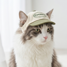 미유틱 강아지 썬캡 모자 고양이, 1개, 그린