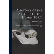 (영문도서) Anatomy of the Arteries of the Human Body: Descriptive and Surgical With the Descriptive Ana... Paperback, Legare Street Press, English, 9781015328501