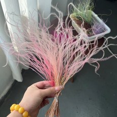 UMJI 羽毛草大份量 不凋花羽毛草 永生花 夢幻草 乾燥花 插花 DIY 手作 花藝, 粉漸變混拼（整包3.5-4g左右）