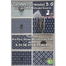 (英文圖書)The Magic Bracelet 3.0 - Exlusive Extended Excerpt 2: Techniques Hira Kara Mita... 平裝版, Independently Published, 英文