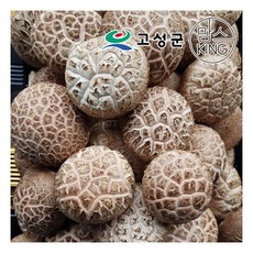 고성 생표고버섯생표고중품1kg