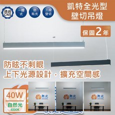 舞光 凱特全光型防眩壁切吊燈 40W 自然光 4000K, 質感銀