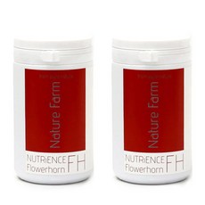 네이쳐팜 뉴트리언스 플라워혼 관상어 사료, 250ml, 2개