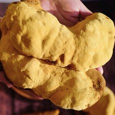 컨비니 간편 끓여먹는 상황버섯 티백 30g 1통, 1개, 30개입