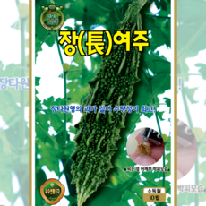 장타원형 장여주 종자 10립 과실 길고 수량성 우수한 재래종 여주 씨앗 ks, 1개 1개
