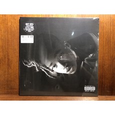 沐耳 Little Simz Grey Area 英倫女子饒舌黑膠唱片，體驗獨特音樂風格與深刻歌詞，感受黑膠溫暖音質